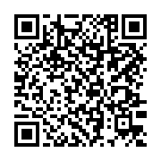 Netar Elektronik Güvenlik Sistemleri sayfa QR kodu