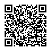 Antakya Atatürk Caddesi Domino's Pizza sayfa QR kodu