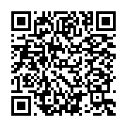 Birlik Torna Tesviye Bayrampaşa sayfa QR kodu