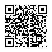 Aysel Metal Beylikdüzü sayfa QR kodu