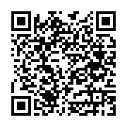 Netpark İnternet ve Gaming Cafe Gürsu sayfa QR kodu